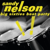 Sandy Nelson - Groovy Grubworm