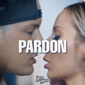 Pardon artwork