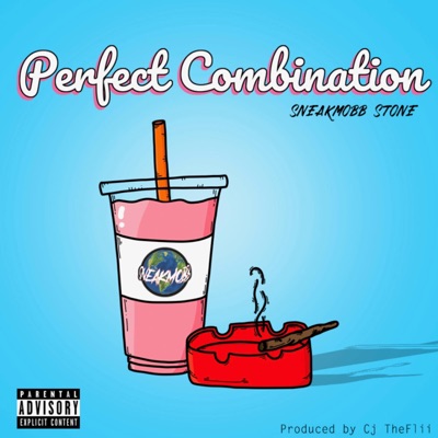 Perfect Combination - Single