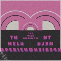 The Melo Experience - Druw Melo