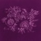 Lianas - REW<< lyrics