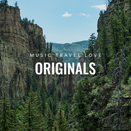 Cover artwork for The Only One