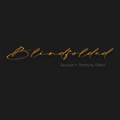 Blindfolded (feat. SteevyLion & PzBeatz) - Single