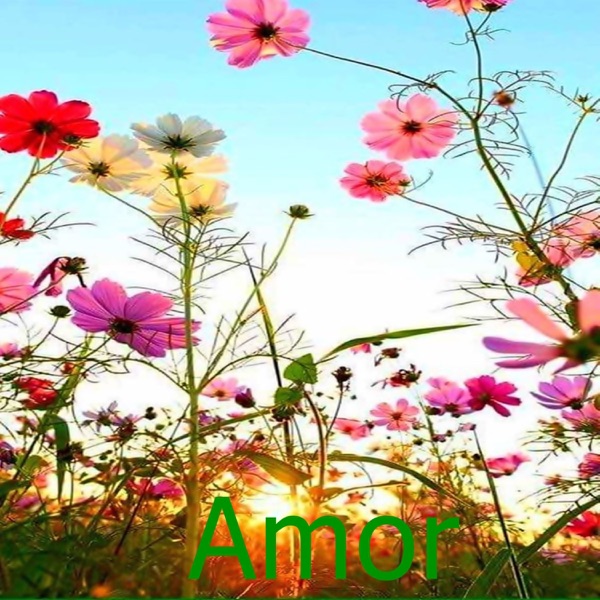Amor (Instrumental)