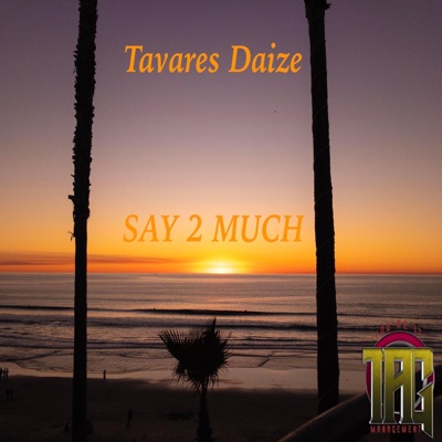 Say 2 Much - Single
