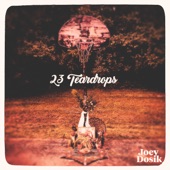 23 Teardrops artwork