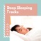 Deep Sleep Collection - Shirley Chamber lyrics