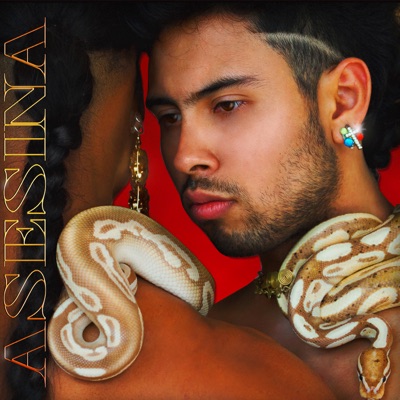 Asesina - Single