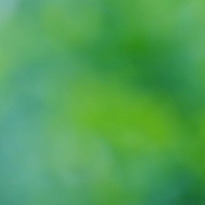 View - Single