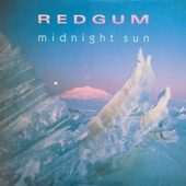 Redgum - Too Many Dollars