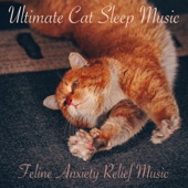 Ultimate Cat Sleep Music: Feline Anxiety Relief Music artwork