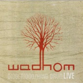 Wadhom - Katling (Live)