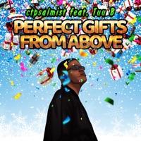 Perfect Gifts from Above (feat. Tuu B) - Single - Ct-Psalmist
