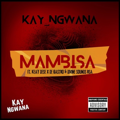 Mambisa (feat. De Gastro & Divine Sounds RSA) - Single