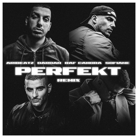 Cover artwork for Perfekt (feat. RAF Camora, Dardan & Sofiane)