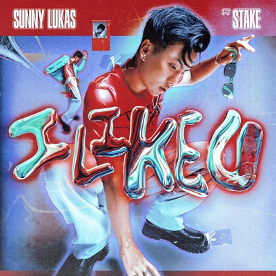 I Like U (feat. Stake) - Single
