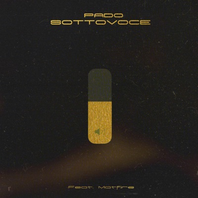 Sottovoce (feat. MatFire) - Single