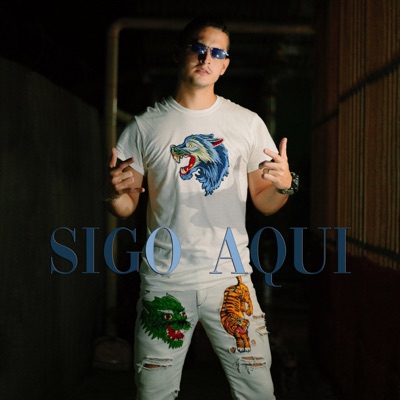 Sigo Aquí - Single