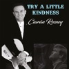 Try a Little Kindness - Single