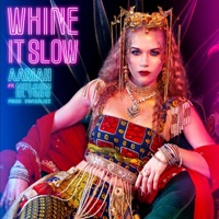 Whine It Slow (feat. Nelson el Toro) - Single - Aariah