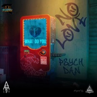 What Do You (No Love) - Single - Psych Dan
