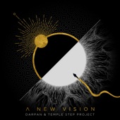 A New Vision (Dancefloor Remix) artwork