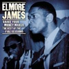 Elmore James