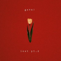 Lost Pt. 2 - Single - gavn!