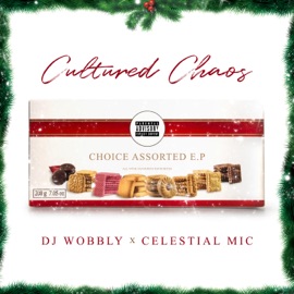 Summertime Fine (feat. Ms Andii, Lungelo Manzi, Yashna & Breeze Zulu Bass King) Cultured Chaos, DJ Wobbly & Celestial Mic