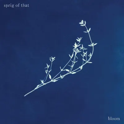 Listen to Bloom by Sprig of That