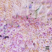 Drug-Induced Poetry - EP - Lilsunofgod