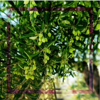 Float (feat. Myka 9) - Single - Ronesh