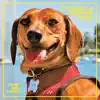 Fanny Dog (Royal)