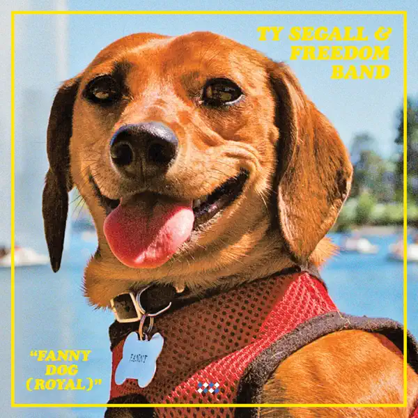 Fanny Dog (Royal) — Ty Segall
