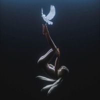 Lifeforce - Single - Divine