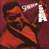 Sparrow Power