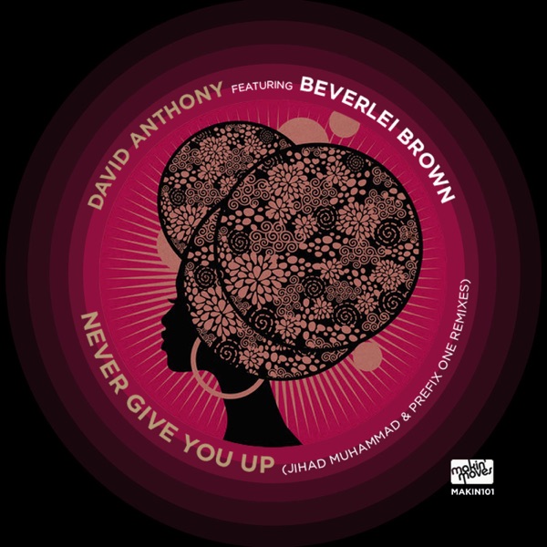 Never Give You Up (Remixes) [feat. Beverlei Brown] - Single