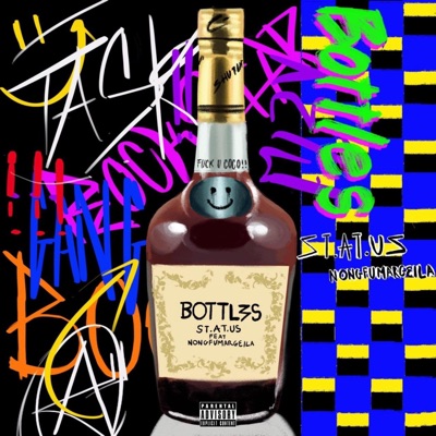 Bottles (feat. Nongfu Margiela) - Single