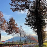 Lovestory (feat. Ilypvc) - Single - Xora