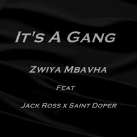 Zwiya Mbavha (feat. Jack Ross & Saint Doper) - Single - It's a Gang
