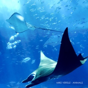 Animals - Single