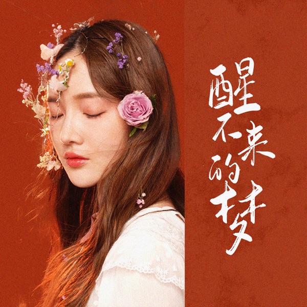 醒不来的梦 - Single