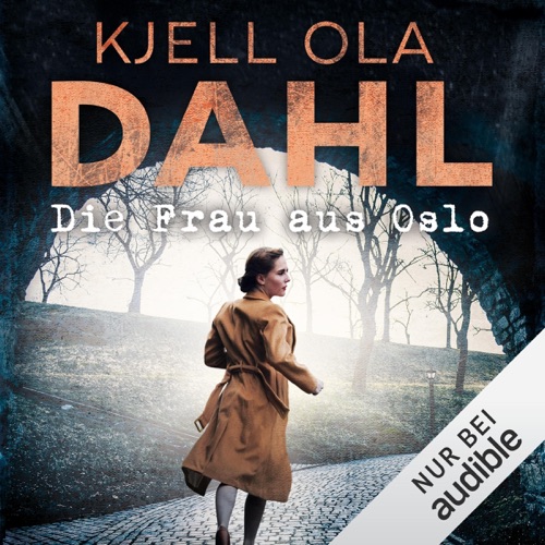 Die Frau aus Oslo cover