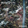 Amazon - EP