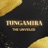 Tungamira