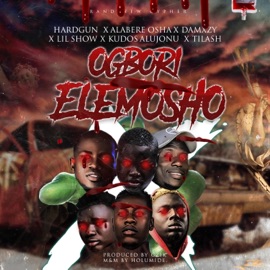 Ogbori Elemosho, Vol. 1 (feat. LilShow, Alabere Osha, Tilash, Dhamxzy & Kudos Alujonu) Hardgun