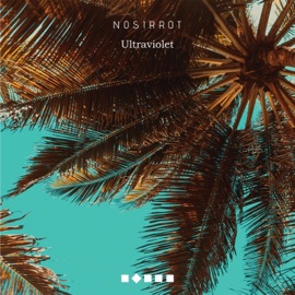 Ultraviolet Nosirrot