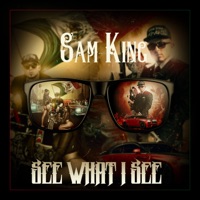 See What I See (feat. Jade) - Single - Sam King