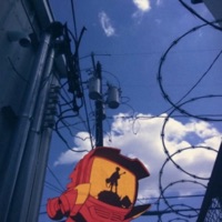 Sensitive - Single - RHINOO!