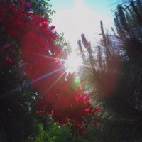 I'm Yours - Single - Wali Aleem